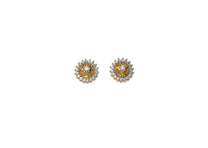 Gold Plated | Fashion Earrings